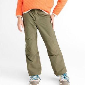 LLBean Lined Hiking Pant, Kelp Green